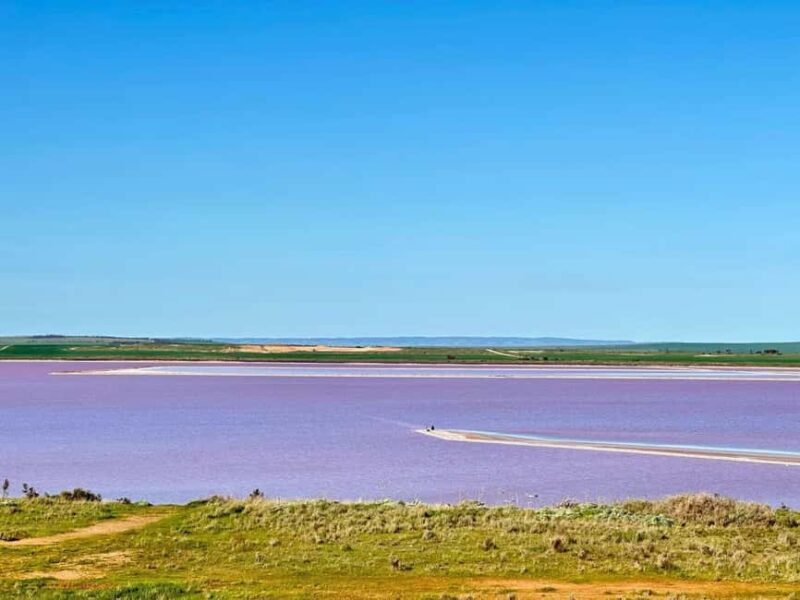 Adelaide Highlights: Wine, Whispering Wall & Pink Lake Tour - Exploring Adelaide in a Day: What to Expect