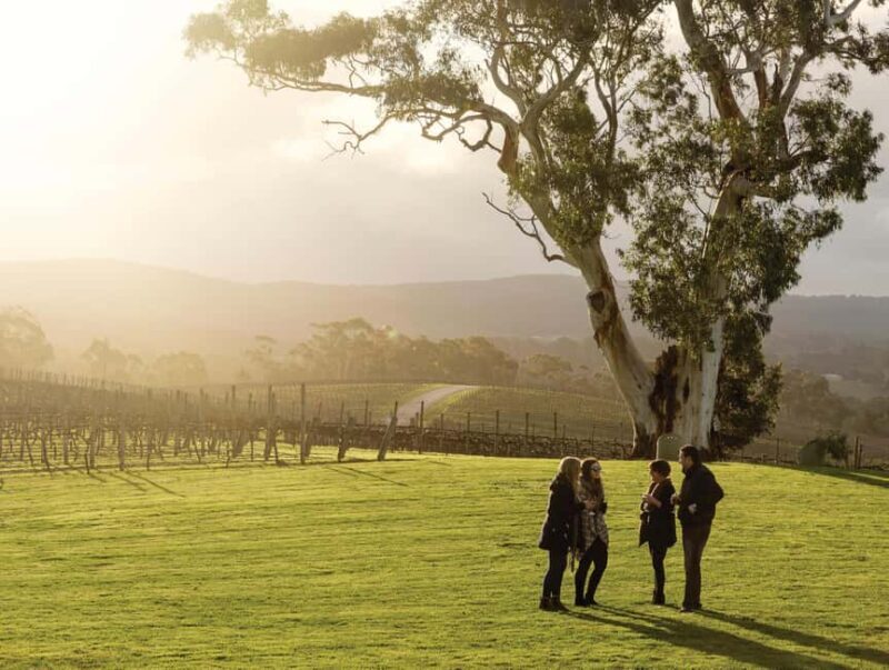 Adelaide Hills and Hahndorf Hop-On-Hop-Off Tour - Discover the Charm of the Adelaide Hills and Hahndorf on a Hop-On Hop-Off Wine Tour