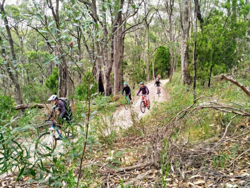 Adelaide Hills: E-Bike Self-Guided Tour with Coffee and Cake - Final Thoughts