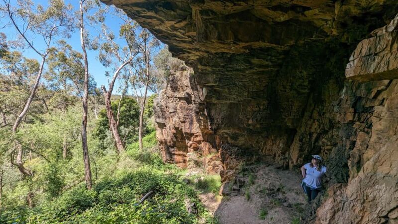 Adelaide Hills: E-Bike Self-Guided Tour with Coffee and Cake - FAQ