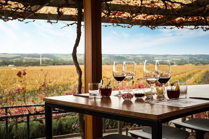 Adelaide Hills, Hahndorf and McLaren Vale Tour - Who Should Consider This Tour?