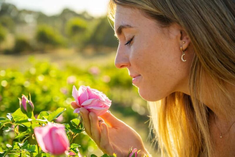 Adelaide Hills: Jurlique Farm Tour - Setting the Scene: Why Visit Jurlique’s Biodynamic Farm?