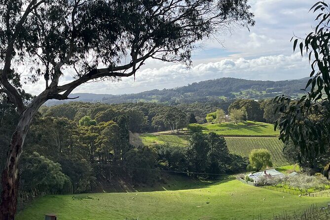 Adelaide Hills Nature Highlights Self-Guided e-Bike Tour - An Authentic and Practical Way to Explore the Adelaide Hills