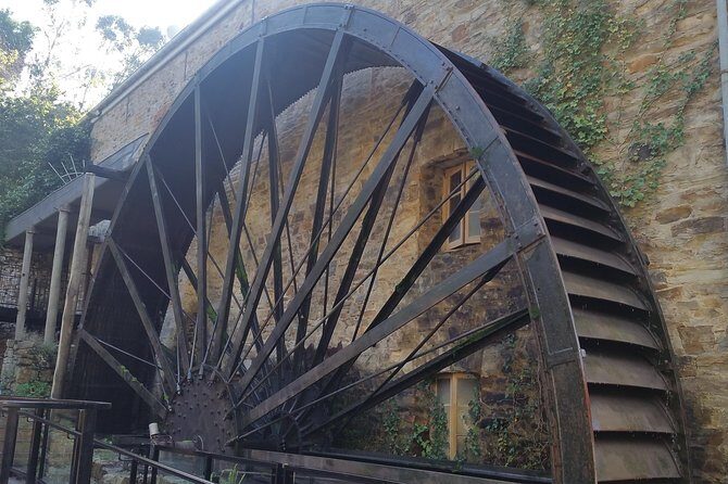 Adelaide Hills Private Day Tour - Final Thoughts