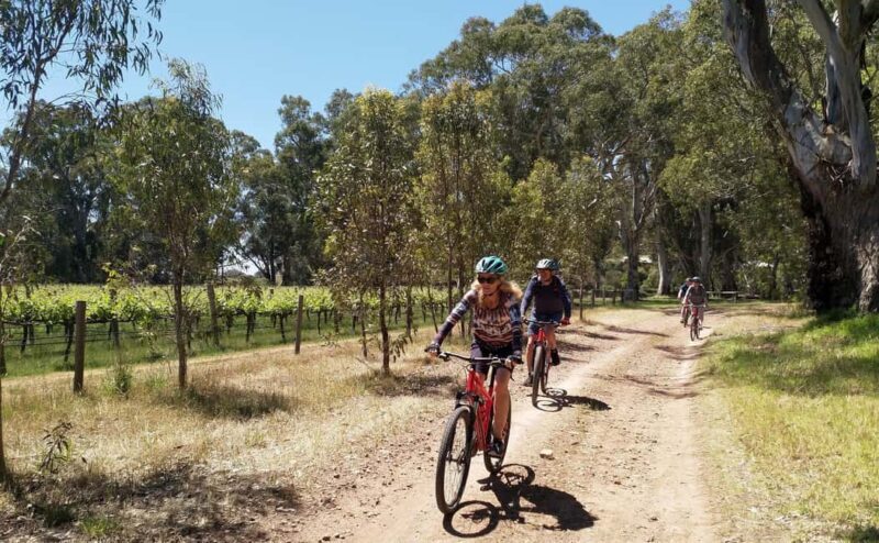 Adelaide Hills: Self-guided E-Bike wine tour with Lunch - Itinerary Breakdown: What You Can Expect