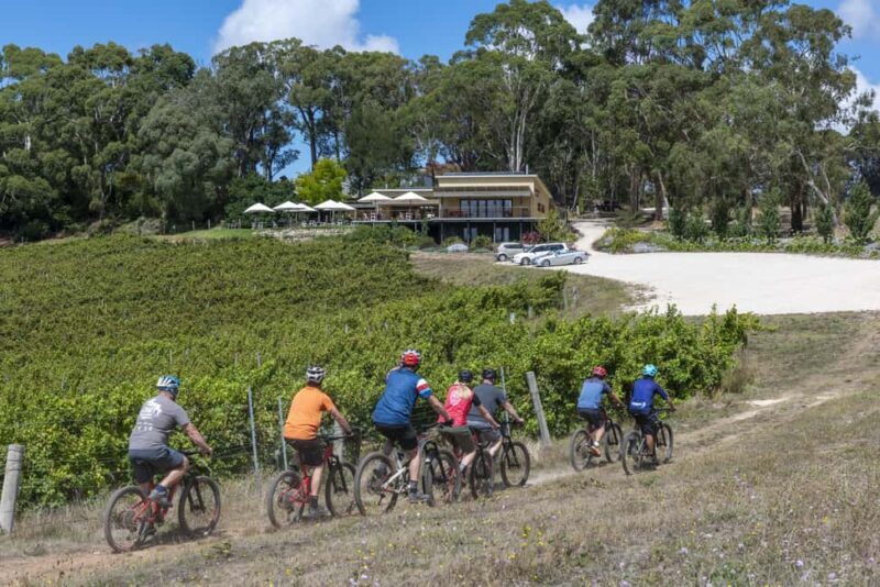 Adelaide Hills: Self-guided E-Bike wine tour with Lunch - Who Will Love This Experience?