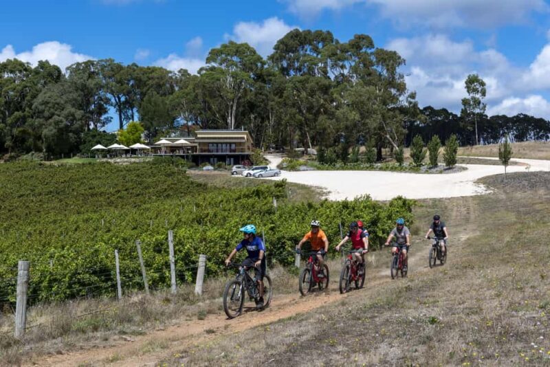 Adelaide Hills: Self-guided E-Bike wine tour with Lunch - Final Thoughts