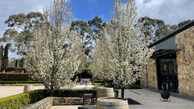 Adelaide Hills Tour - Exploring the Highlights of the Adelaide Hills