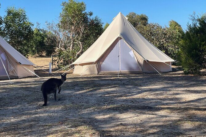 Adelaide: Kangaroo Island 2-Day Epic Adventure Small Group tour - Key Points