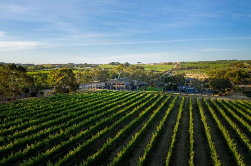 Adelaide: McLaren Vale All-Inclusive Wine and Brew Tour - The Experience in Context