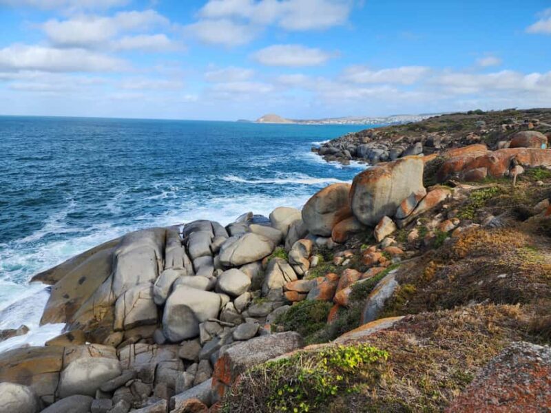 Adelaide: McLaren Vale, Port Elliot & Victor Harbor Tour - Key Points