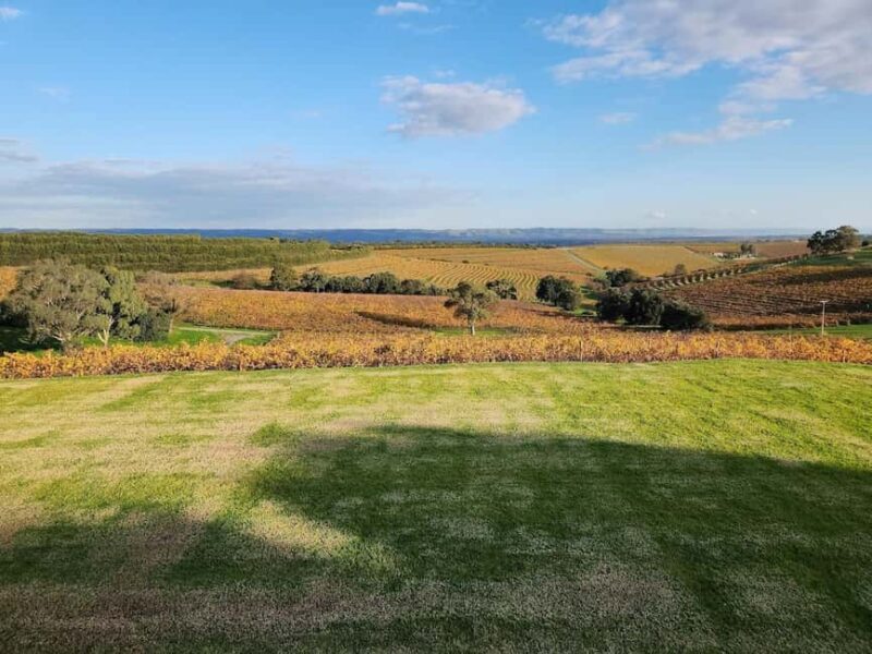 Adelaide: McLaren Vale Private WineTour+Your Chosen Tastings - The Bottom Line