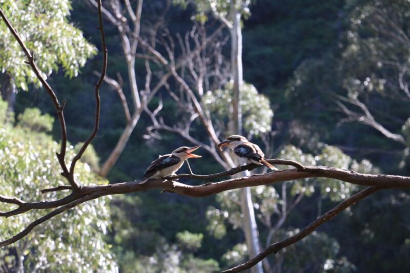 Adelaide: Morialta Wilderness and Wildlife Hike - Final Thoughts