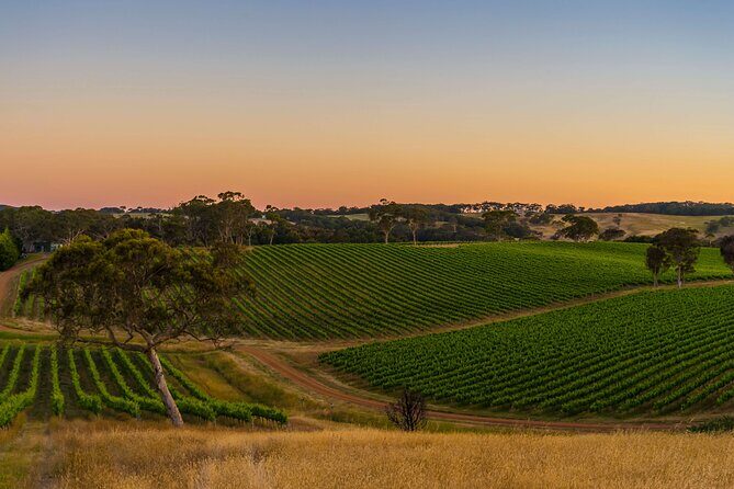 Adelaide Private Airport and City Transfer - Final Thoughts