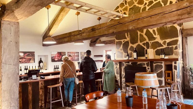 Adelaide: Private Boutique Wine Tasting & Sightseeing Tour - Wineries: From Iconic to Boutique
