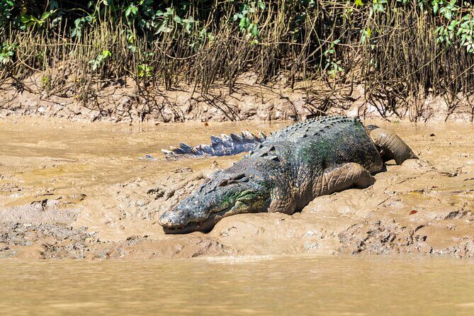 Adelaide River Cruises - Jumping Crocodile Experience - FAQ about the Jumping Crocodile Experience