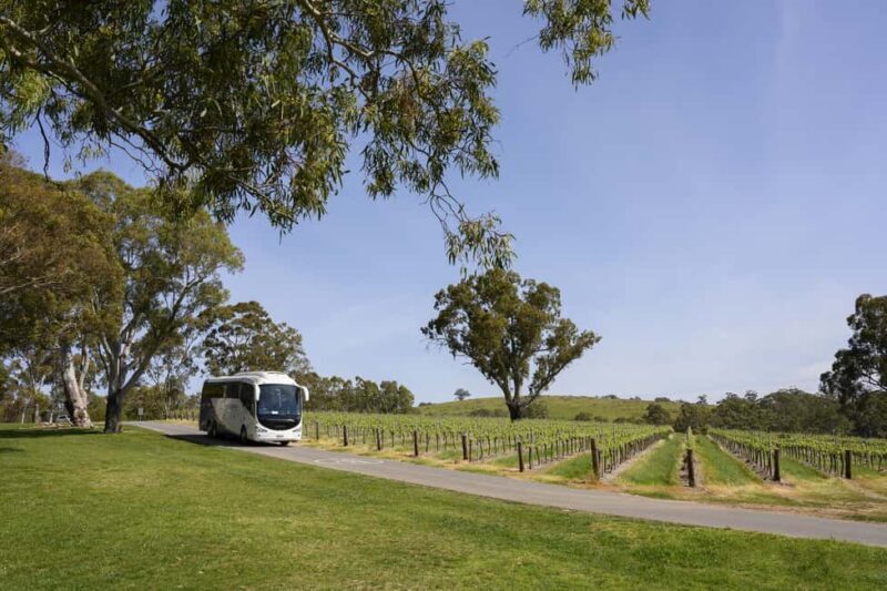 Adelaide: Small Group Tour of Barossa, Wineries with Lunch - Frequently Asked Questions