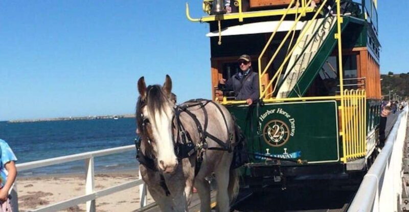 Adelaide: South Australia Guided Full-Day Highlights Tour - Discovering the Charm of Hahndorf