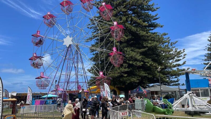 Adelaide: South Australia Guided Full-Day Highlights Tour - Victor Harbor: Town and Attractions