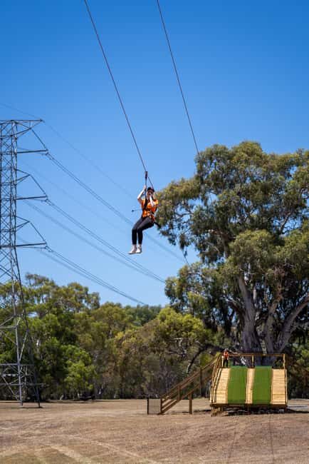Adelaide: TreeClimb Adventure - What to Expect from the Salisbury Grand Course