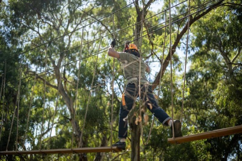 Adelaide: TreeClimb Adventure - The Sum Up