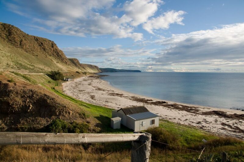 Adelaide: Wine and Wildlife 4WD Tour - Why This Tour Offers Outstanding Value