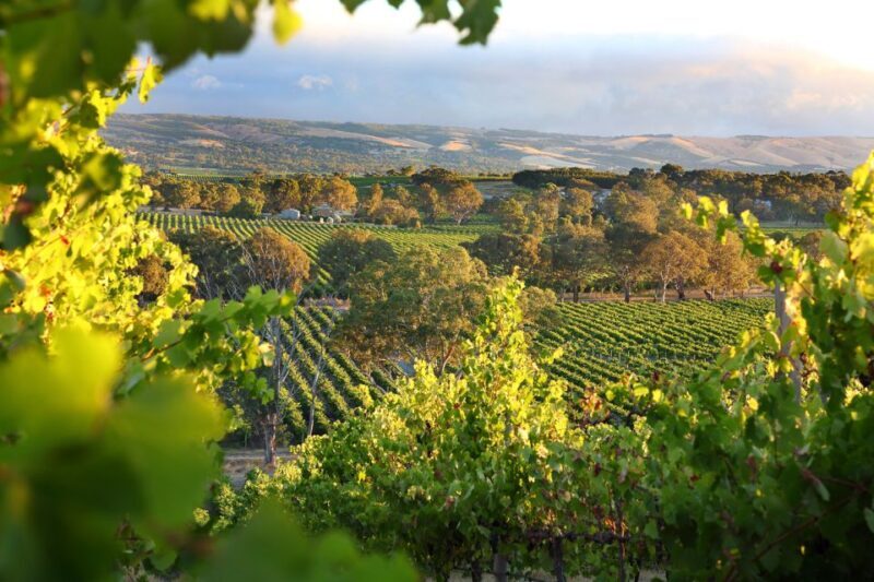 Adelaide: Wine and Wildlife 4WD Tour - FAQ