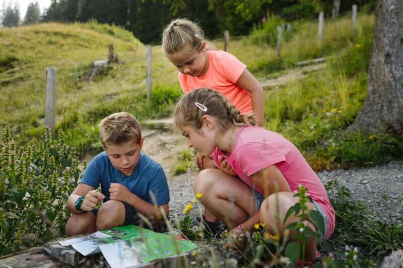 Adelboden: Vogellisi Adventure Trail Family Hike - Practical Details and Tips for Visitors
