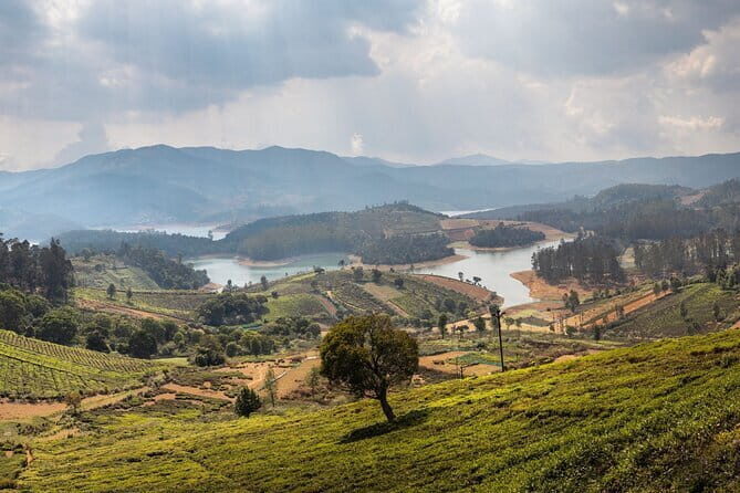 Adiyogi 3D Light Show  A Spectacle of Light, Sound - Coimbatore - FAQs
