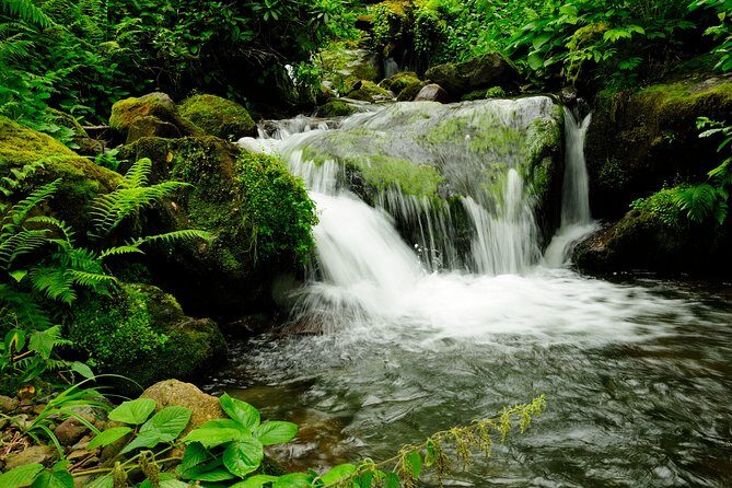Adjarian Mountains Waterfalls Wine Tour Best views from Batumi Kobuleti - Who Is This Tour Best For?