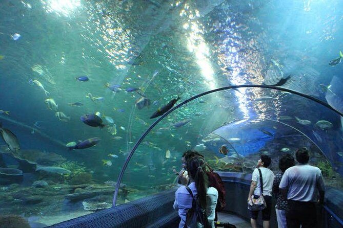 Admission Ticket to Underwater World Pattaya with Return Transfer - Additional Information