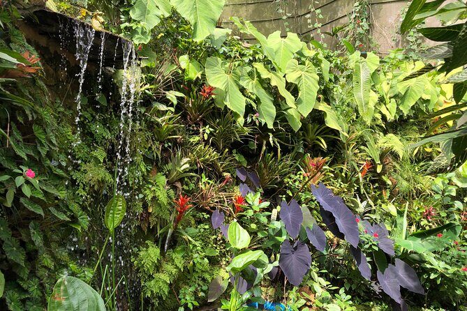 Admission to Andoke Butterfly Center in Cali with Release Ritual - What to Expect at the Butterfly Center