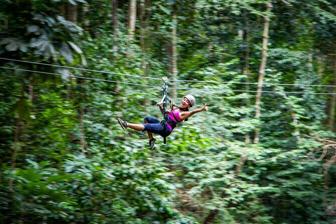 Adrena-Line Zipline, St. Lucia - An In-Depth Look at the Adrena-Line Zipline Experience in St. Lucia
