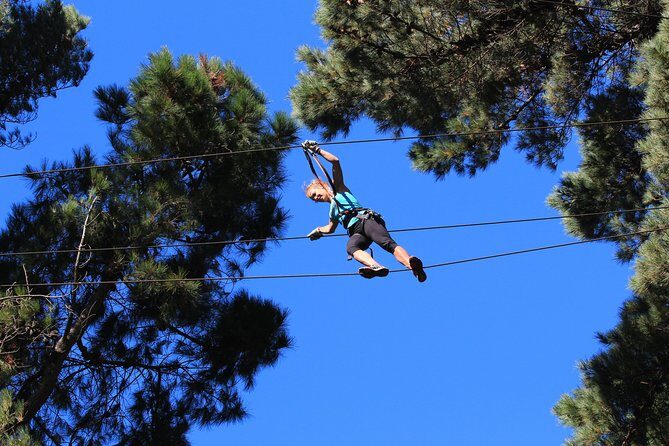 Adrenalin Forest Auckland - Adrenalin Forest Auckland — An Ultimate Adventure in the Trees