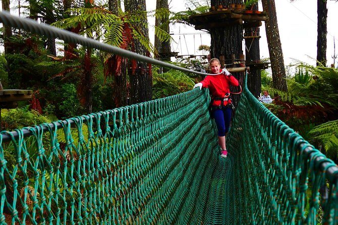 Adrenalin Forest Auckland - In-Depth Review of Adrenalin Forest Auckland