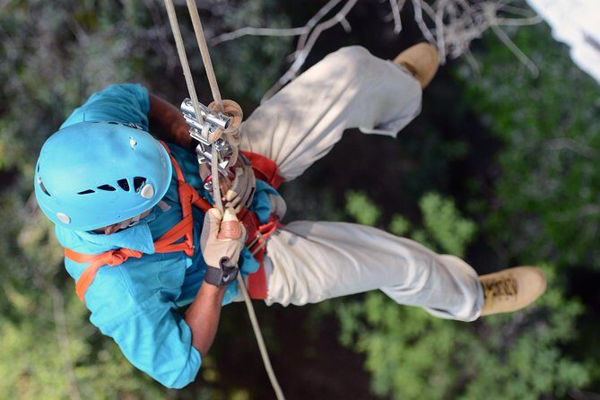 Adrenaline Pumping Black Hole Drop: Rappelling at Ian Anderson's Caves Branch - Who Will Love This Tour?