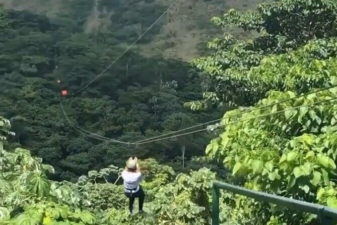 Adrenaline Total: Zipline Tour in Punta Cana - A Detailed Look at the Zipline Tour in Punta Cana