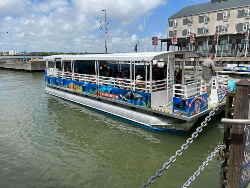 Adult Galveston Sunset Cruise 21 and up - The Sum Up