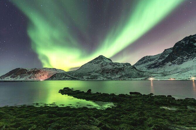 Adults Only Aurora Hunt with Citizen Science with Wandering Owl - Adults Only Aurora Hunt with Citizen Science with Wandering Owl: An In-Depth Review