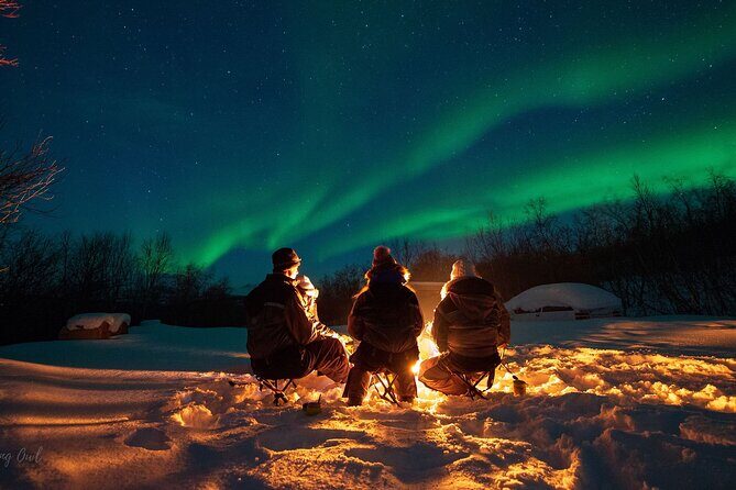 Adults Only Aurora Hunt with Citizen Science with Wandering Owl - Key Points