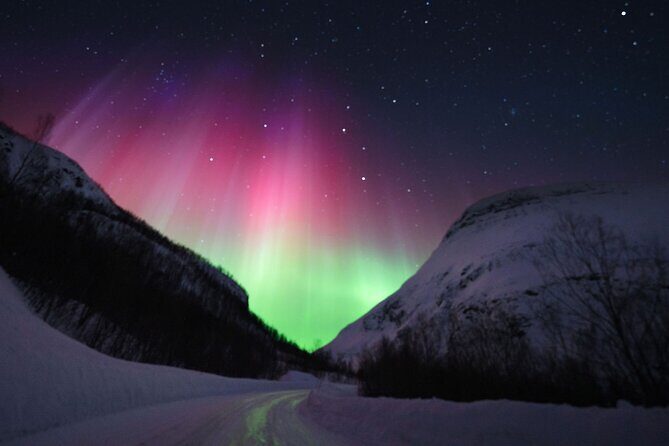 Adults Only Aurora Hunt with Citizen Science with Wandering Owl - Final Thoughts