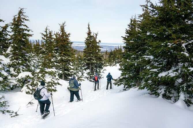 Advanced Snowshoeing Adventure - A Full Breakdown of the Experience