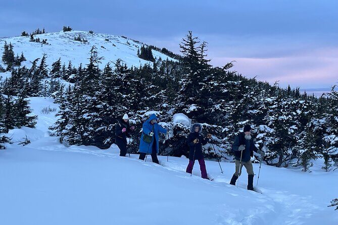 Advanced Snowshoeing Adventure - Who Will Love This Experience?