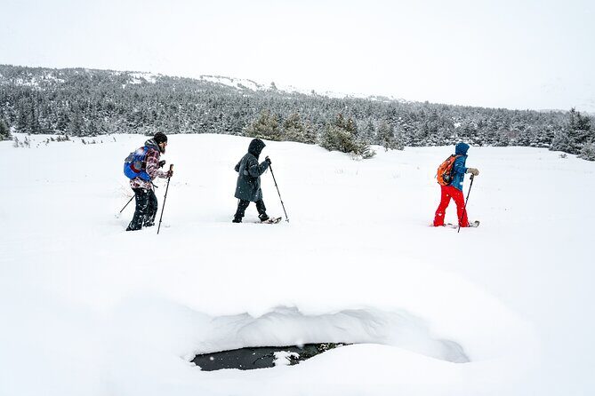Advanced Snowshoeing Adventure - The Sum Up: Is This Tour Worth It?