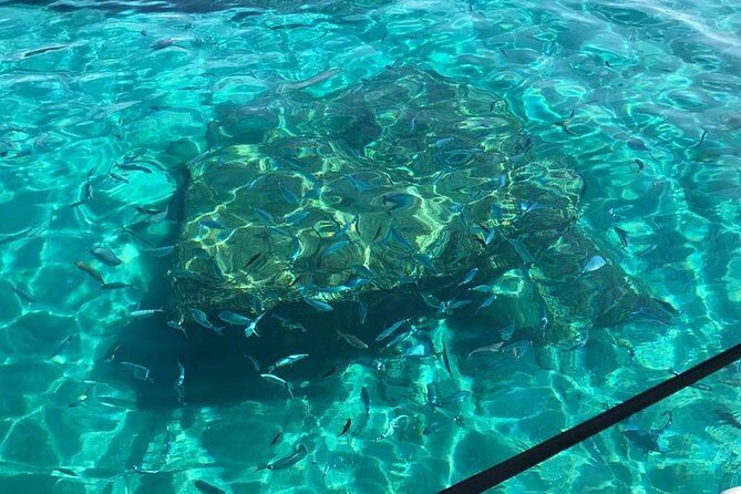 Adventure and nature! Exciting group tour by dinghy. - A Deep Dive into the Tropea Dinghy Tour Experience