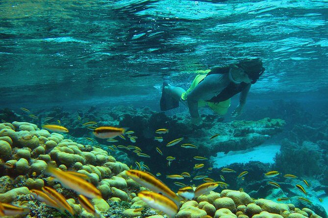 Adventure Antigua - Eli's Original Eco Tour - Key Points