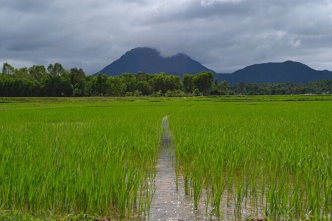 Adventure Bike Tour from Hoi An - The Scenic Landscape and Cultural Fabric