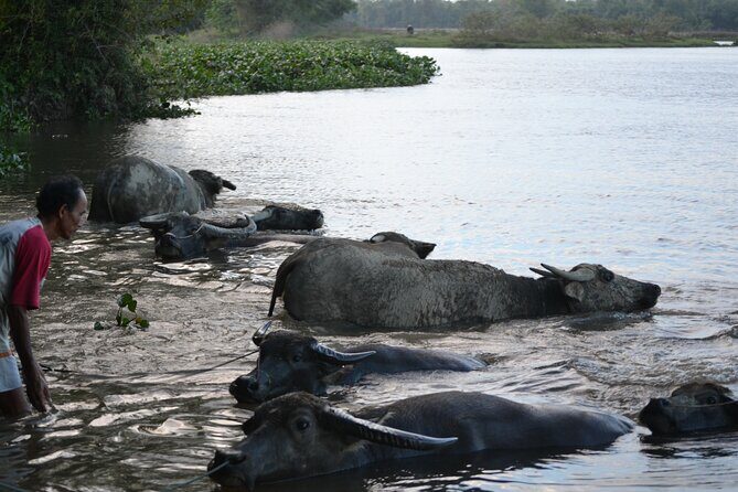 Adventure Bike Tour from Hoi An - Group Size and Practicalities