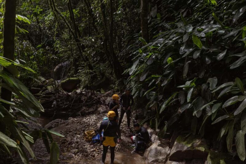 Adventure Close to the City Canyoning, Hiking, Tree Climbing - Adventure Close to the City Canyoning, Hiking, Tree Climbing