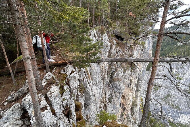 Adventure day trip from Iasi | Hiking in the Carpathian Mountains - Scenic Highlights: Nature’s Showcase